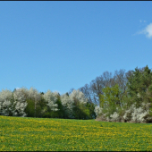jar v plnom prúde ...