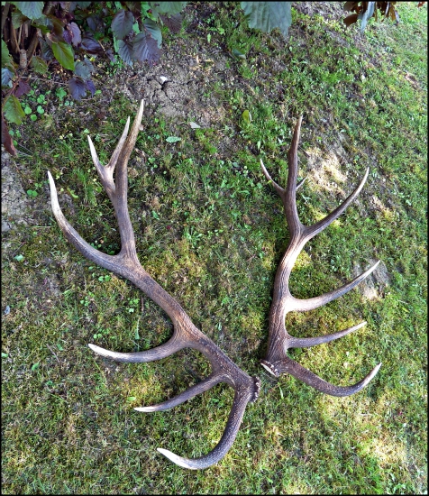 pár vyše 190 bodov ...