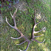 pár vyše 190 bodov ...