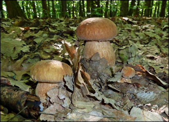 zopár z dnešných 162 ...