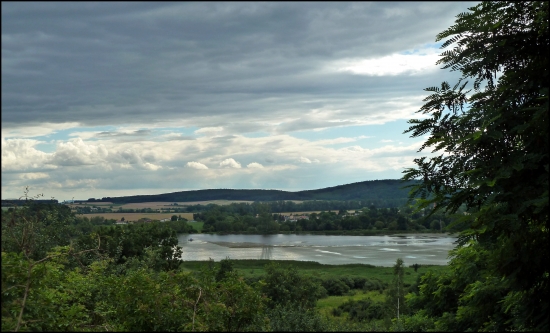 rybník ...