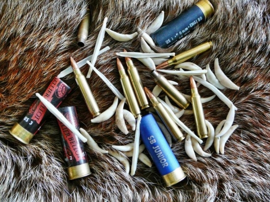 z lišiakov netradične