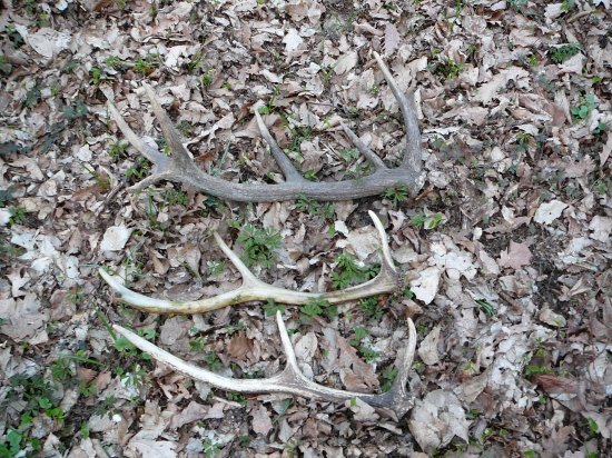 v jeden deň - riadne som sa nachodil :-)