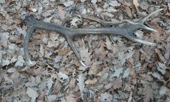 Keď sa v pohone zadarí