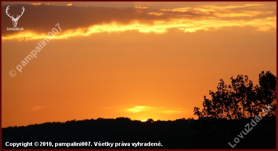 už ho skoro nevidno ...