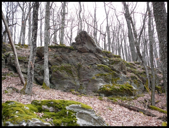 Skalnatý 