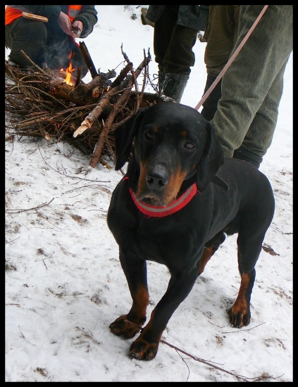 Však som fotogenický ? :-)