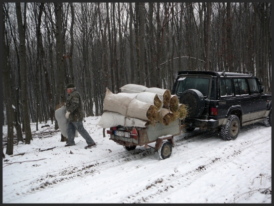 Dnešná, dúfam, že zveri milá aktivita :-)