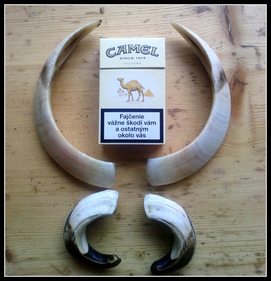 bezprostredne po vybratí