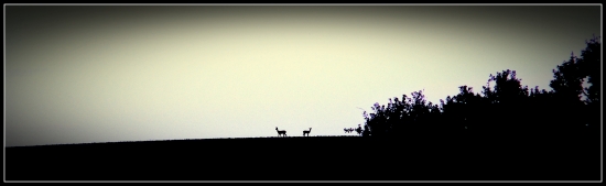 na horizonte
