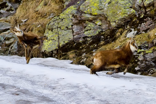 Utekaj ,ovládam karate!