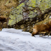 Utekaj ,ovládam karate!