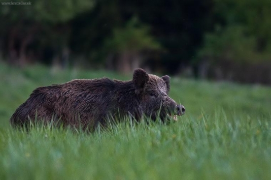Úsmev prosím......
