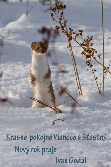 Krásne Vianoce