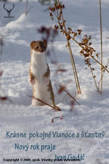 Krásne Vianoce