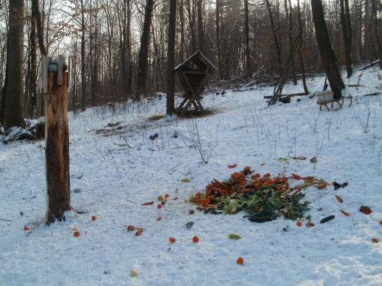 dnešné prikrmovanie vitamínmi