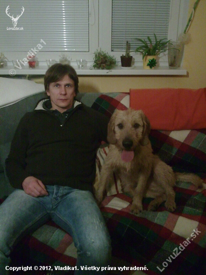 Silvester