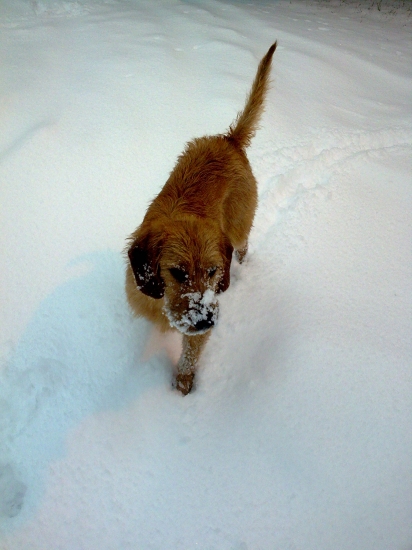 Štajerák Ares a zimná idylka - 2