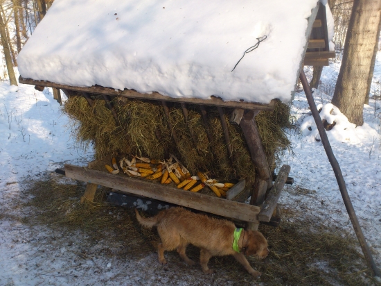 ešte kontrola a ideme domov