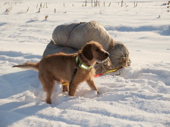 pomáham......:-) :-) :-)