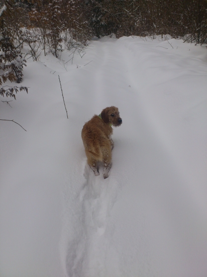 prešľapem ti chodník. ok?