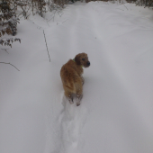 prešľapem ti chodník. ok?