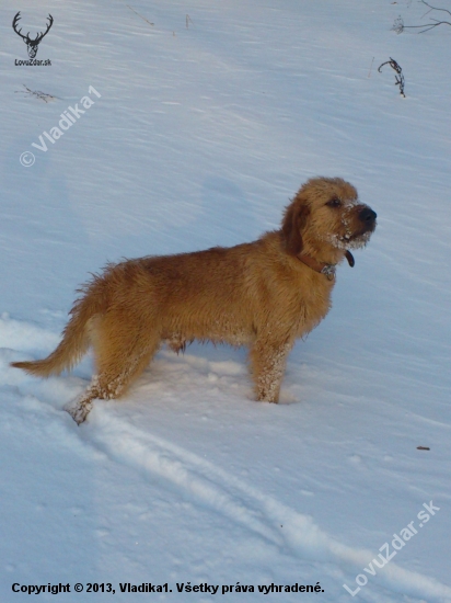 Ares
