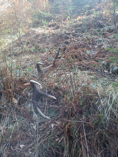 konečne čerstvy  3kg 95 cm