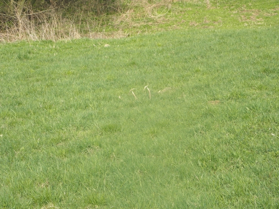 prvý pohlad konečne asi po 14 km