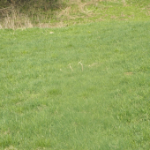 prvý pohlad konečne asi po 14 km