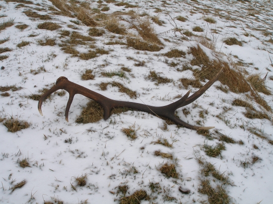 Až mi srdce podskočilo.....103cm