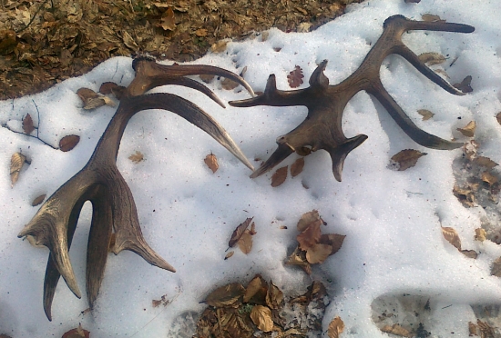 nepravidelný 24-torák