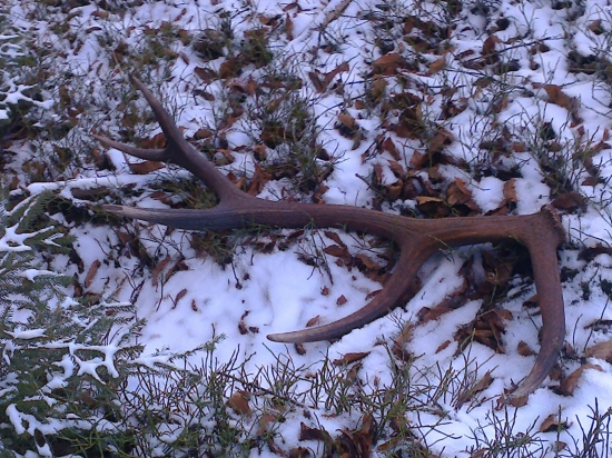 Pár k vcerajsiemu id 287356