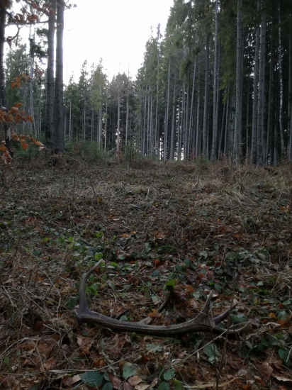 Po 30 kilometroch...