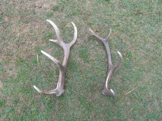 Otcove tretí a štvrtý