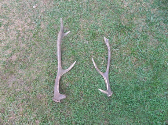 Malé ale aj tak potešili