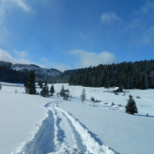 Závratné