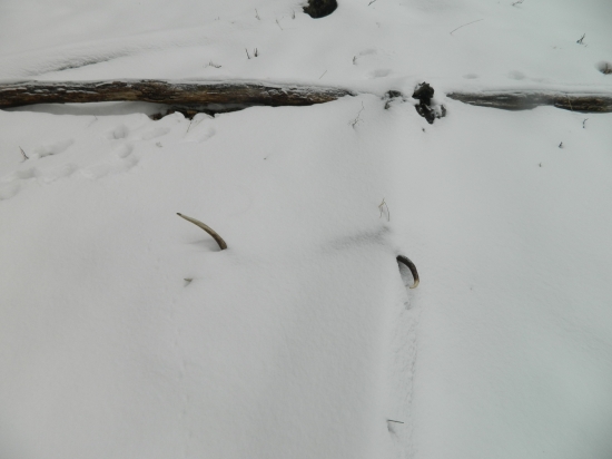 Nedelnajsi-prvy pohlad