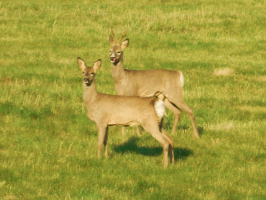 Nezalizuj sa nič nebude