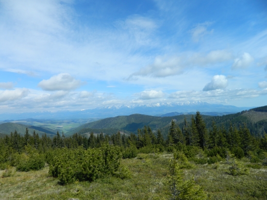 Cestou na Kráľovu hoľu