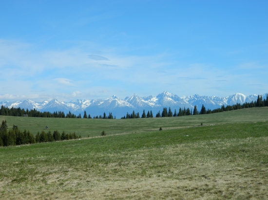 Tu sa vraciam veľmi rád...