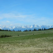 Tu sa vraciam veľmi rád...