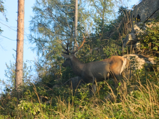 Ktorým smerom mám ísť?...