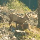 Ani si ma nevšimol.