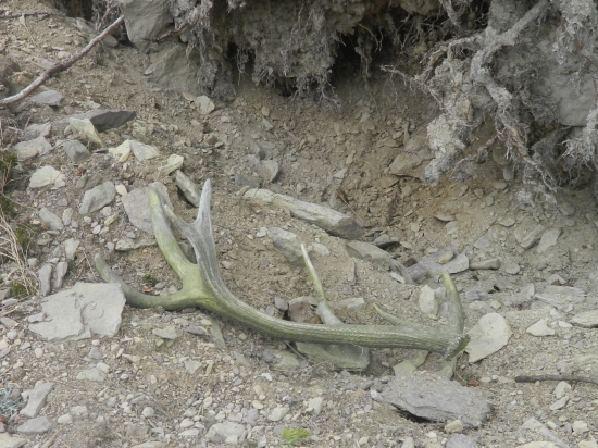 Dnešná vychádzka s kamarátom.