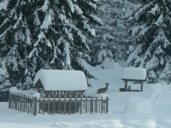 Nastali ťažké časy.
