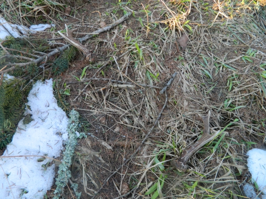 Tak tomu sa povie šťastie.