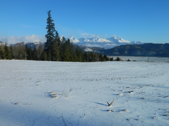 Prvý pohľad je najkrajší.