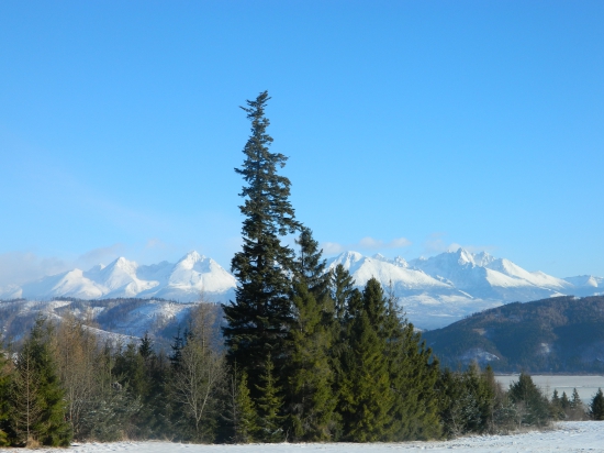 Na Zelený štvrtok.