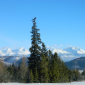 Na Zelený štvrtok.